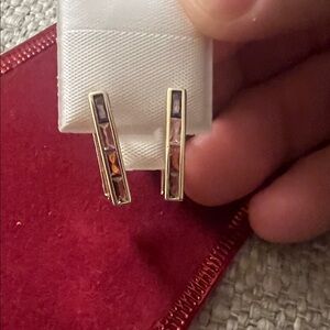 Elegant Multicolor Bar Earrings